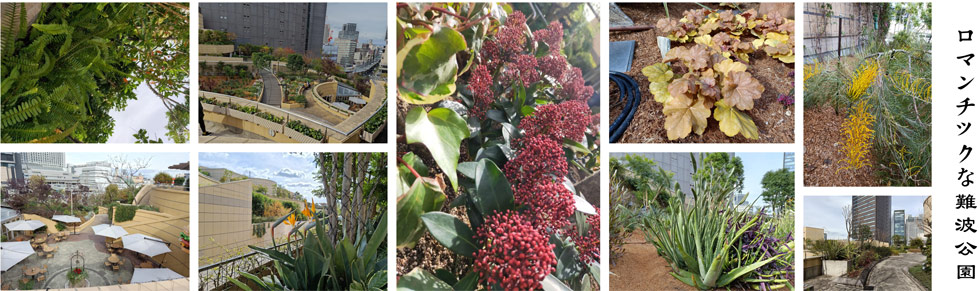 clip_image020.jpg clip_image020.jpg